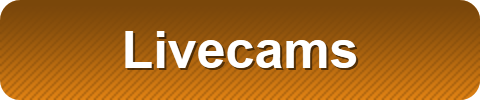 Livecams